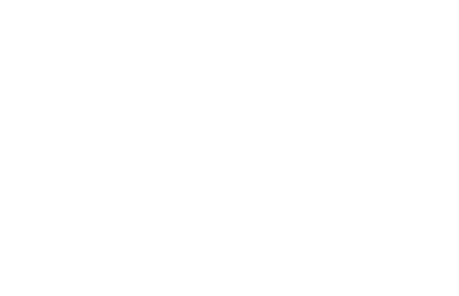 Logo MI AMI 2023
