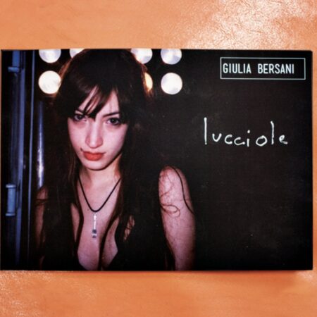 Libro "Lucciole" di Giulia Bersani (MI AMI 2016)